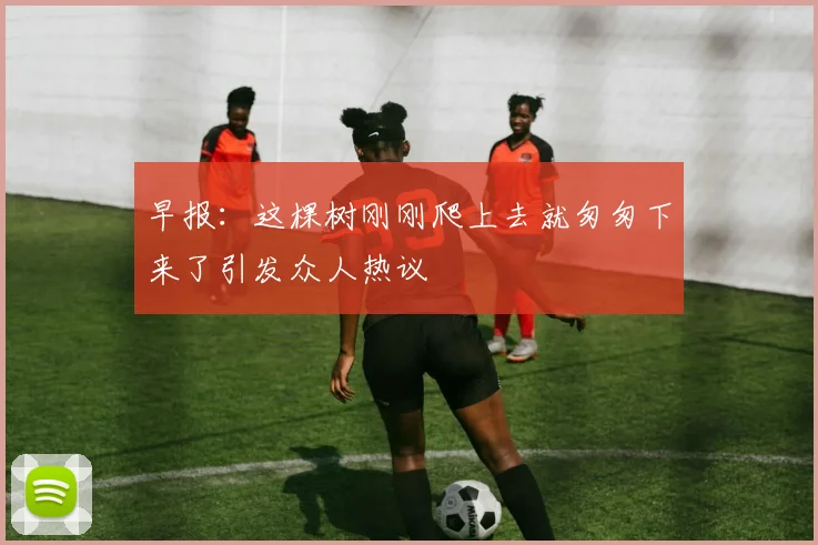 早报：这棵树刚刚爬上去就匆匆下来了引发众人热议