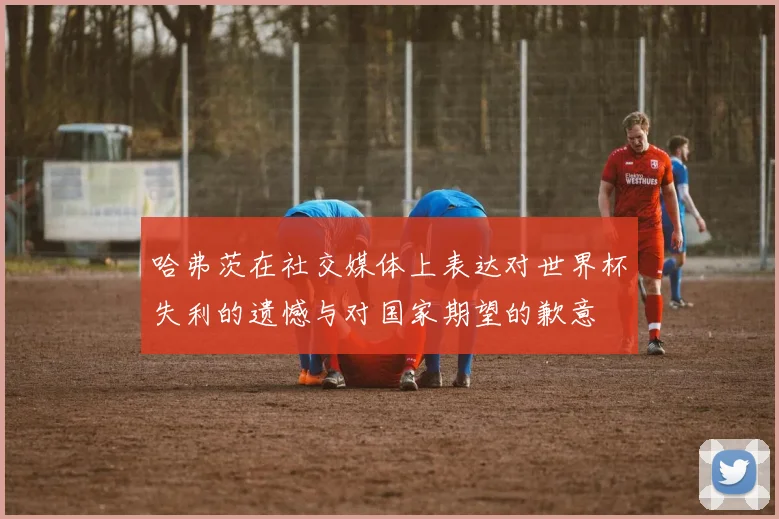 哈弗茨在社交媒体上表达对世界杯失利的遗憾与对国家期望的歉意